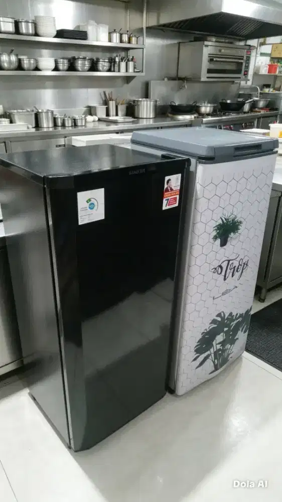 kulkas 1 pintu SANKEN