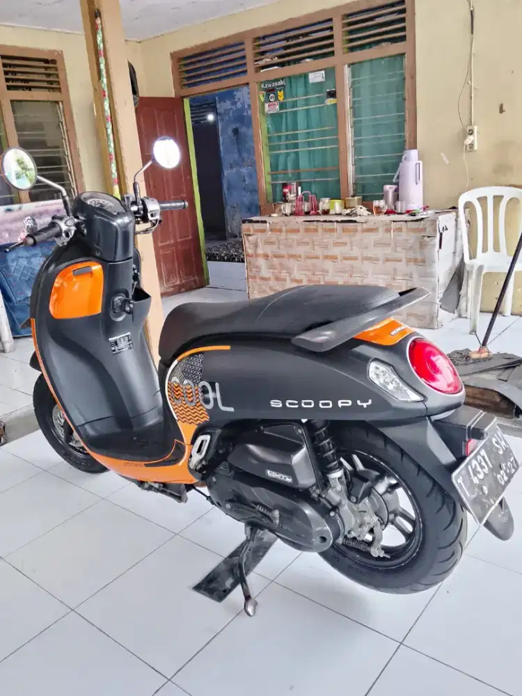H. NEW Scoopy Fashion