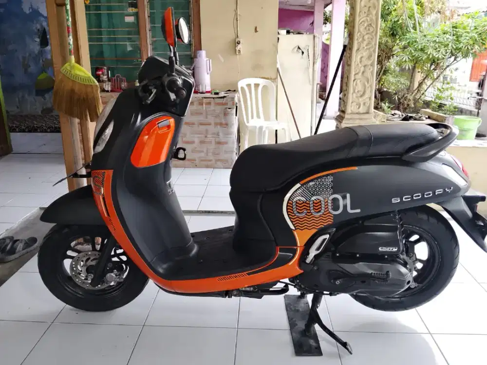 H. NEW Scoopy Fashion