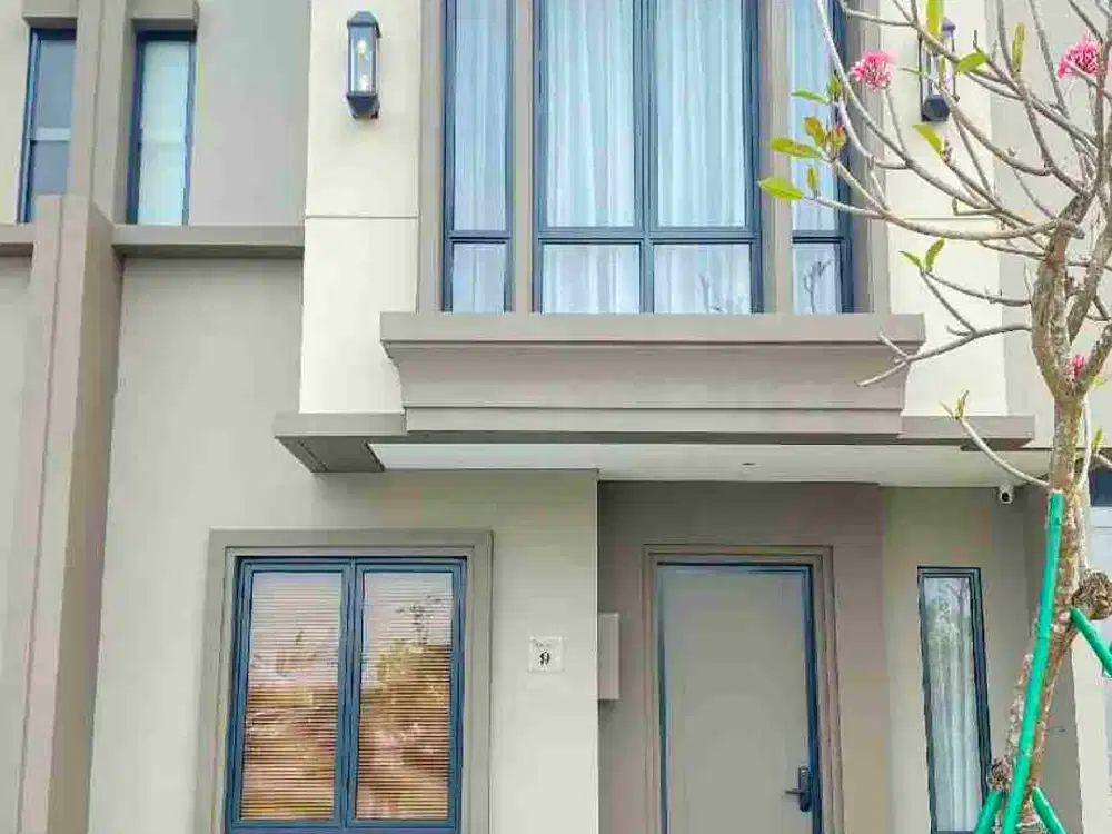 Mimosa Paramount Petals Tangerang