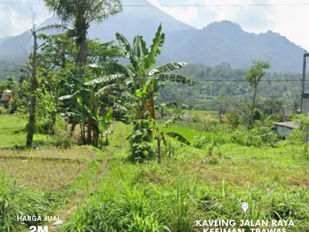 Kavling Jalan Raya Kesiman Trawas