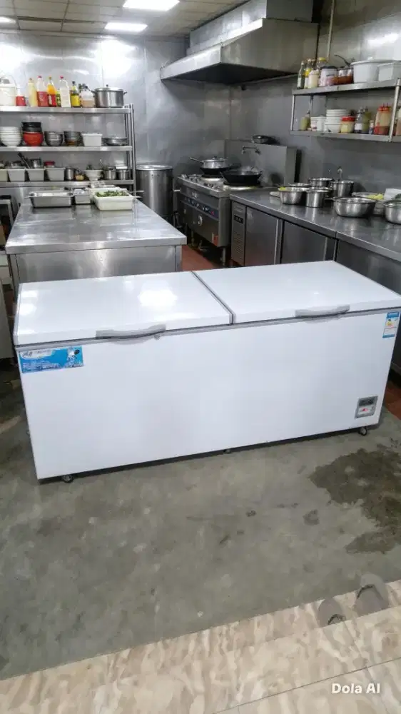 freezer box 1200L GEA