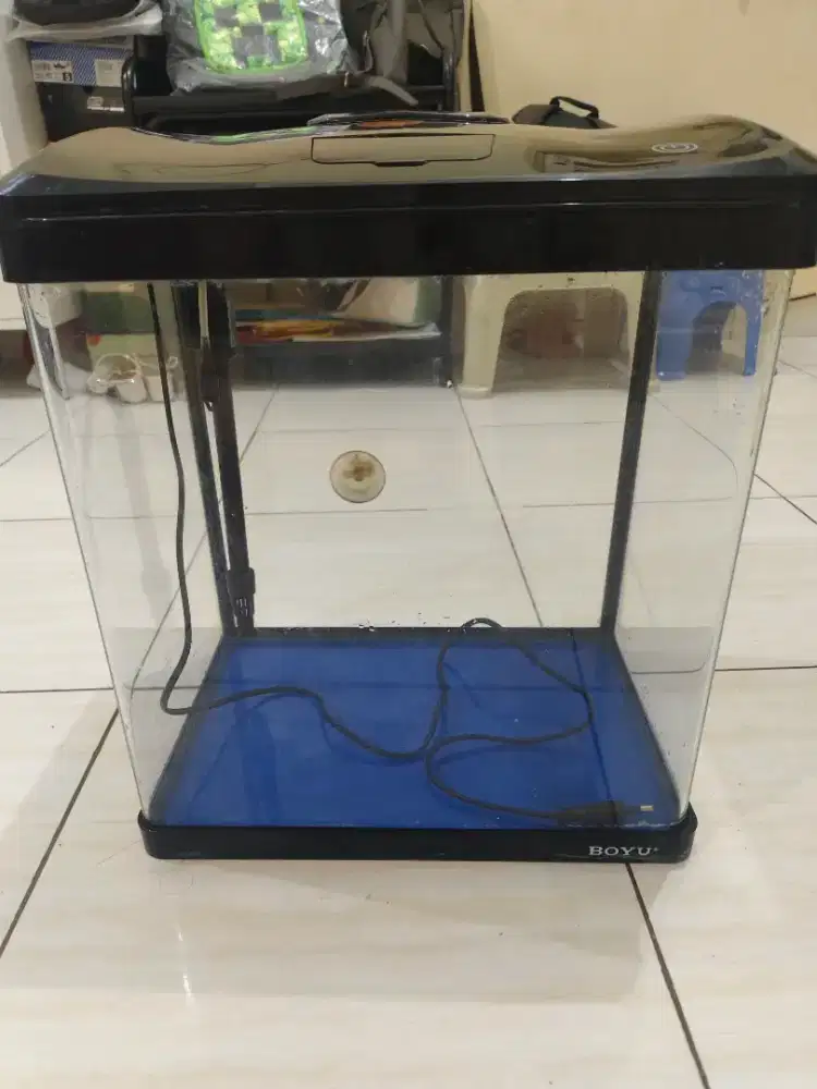 Akuarium Boyu Untuk Ikan Hias