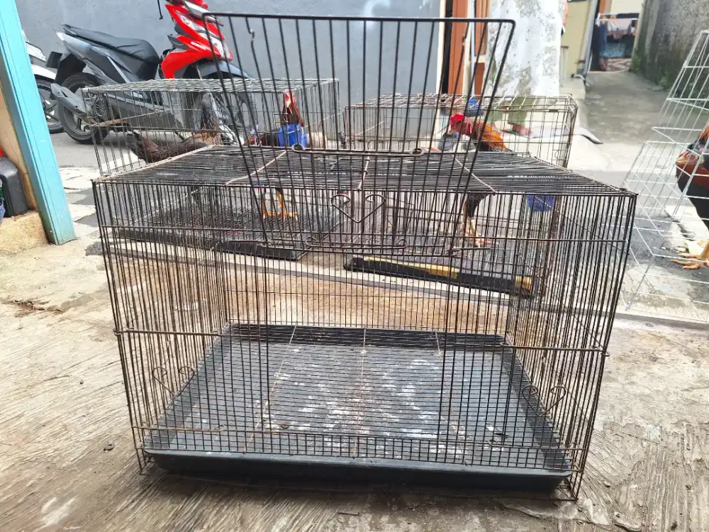 Kandang besi ayam, bebek, kucing, burung, kelunci
