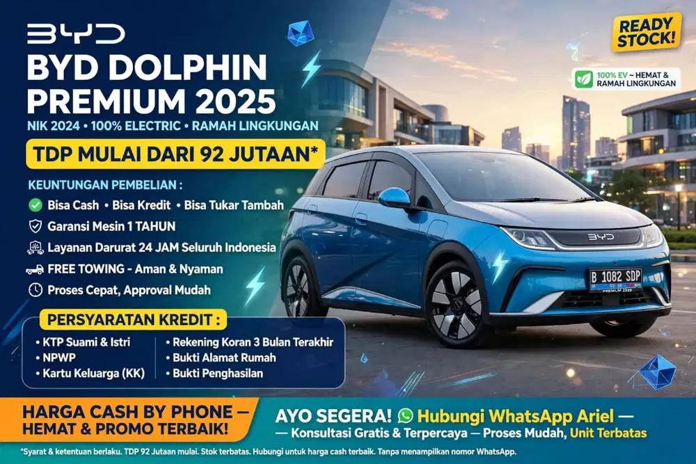 BYD dolphin premium 2025