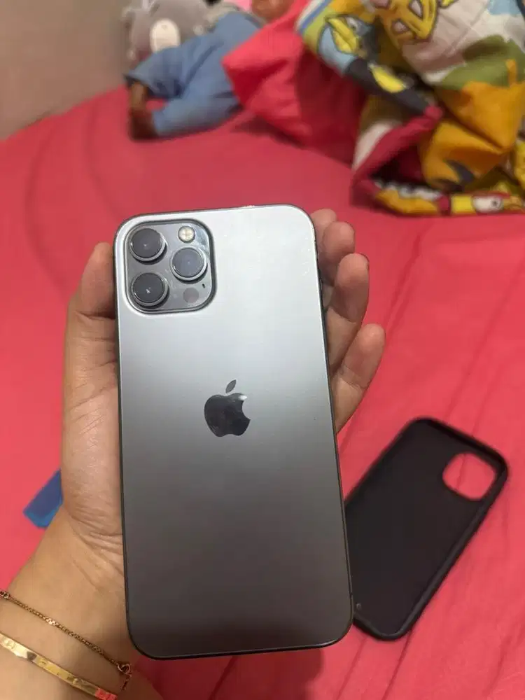 12 Promax inter 512 gb All oprator