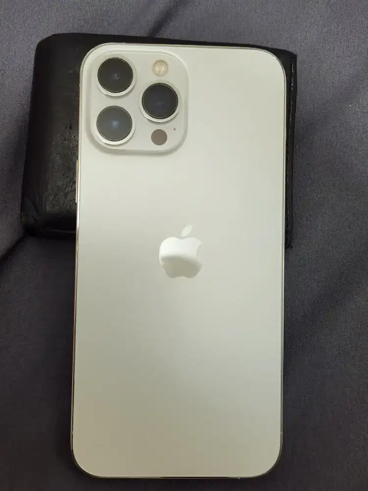 iPhone 13 pro max ex inter