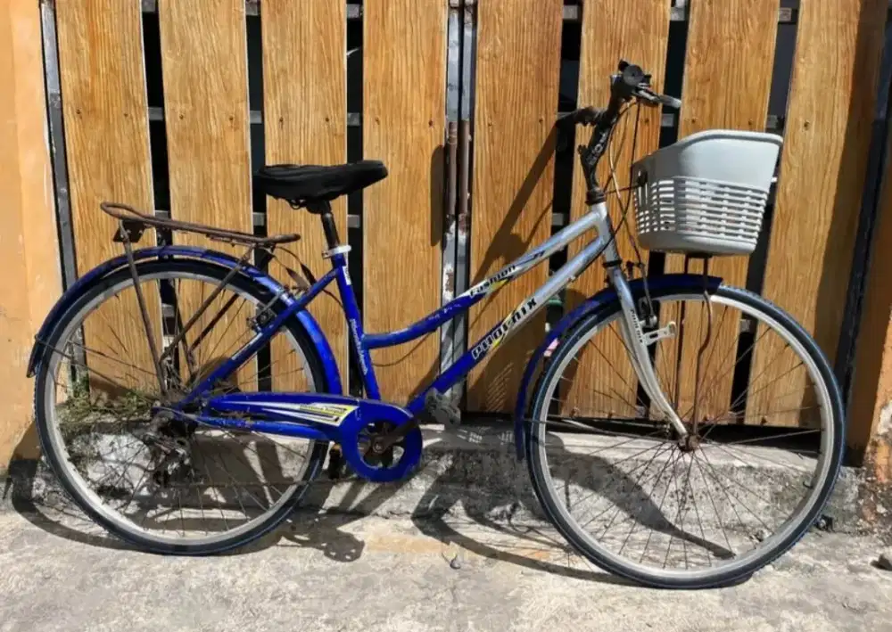 Sepeda keranjang Phoenix Biru Lengkap UK 26 Normal