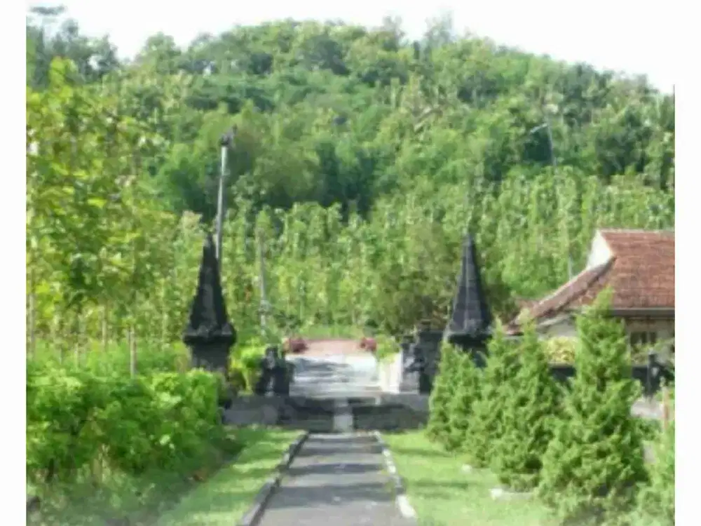 dijual tanah cocok utk wisata glamping, kalirancang, Alian Kebumen Jateng.