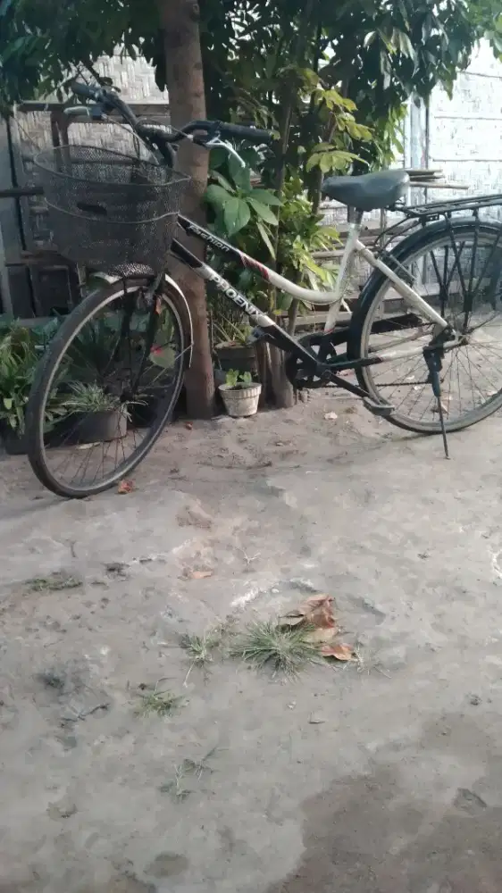Sepeda kranjang uk 26.siap pakai