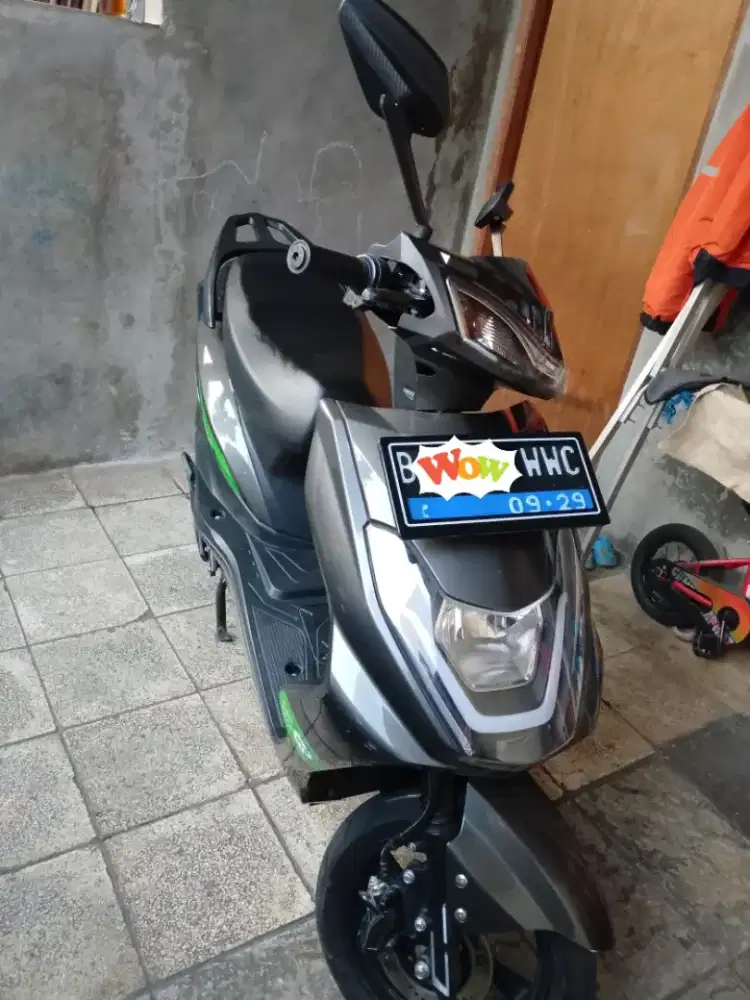 Molis ecgo 3 Mulus