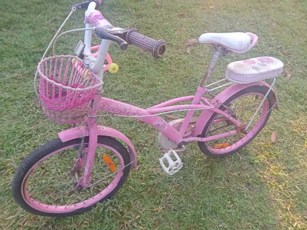 Sepeda Anak umur 8 thunan keatas
