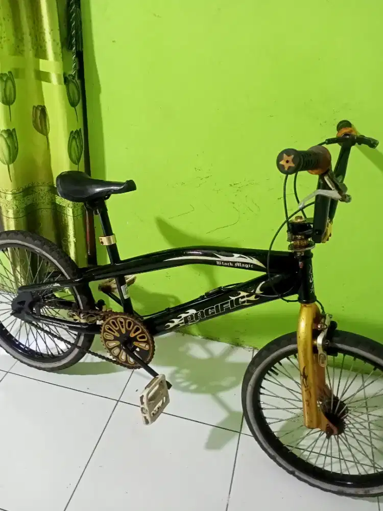 bmx Pasific r20 orisinil