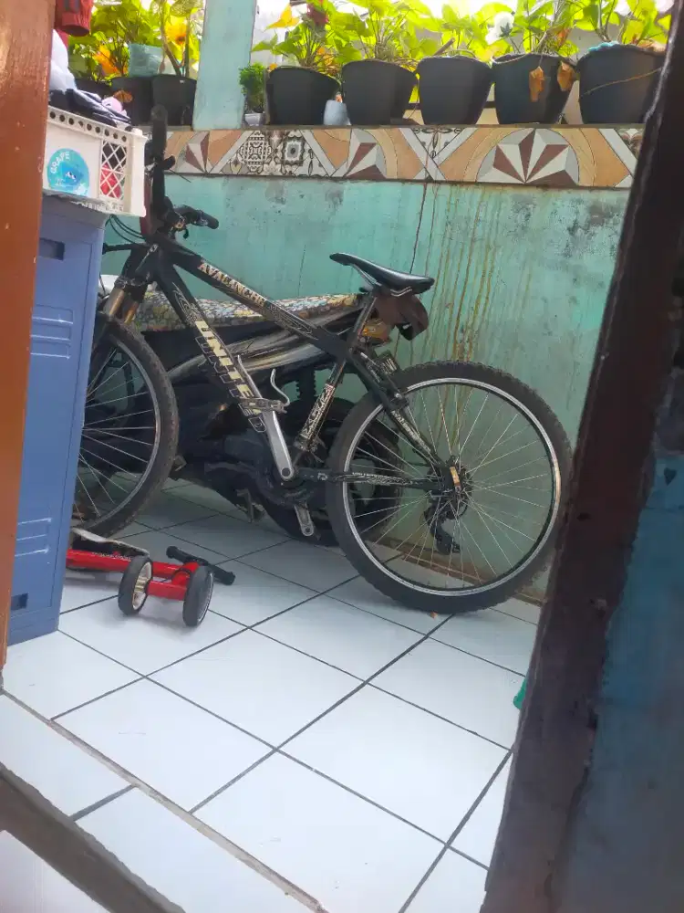 Sepeda united XC72