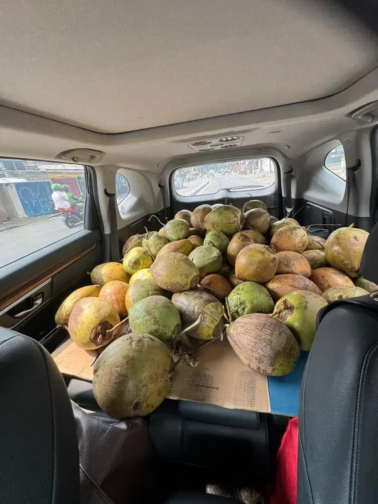 Bisa KUPAS dan BELAH KELAPA lowongan kerja