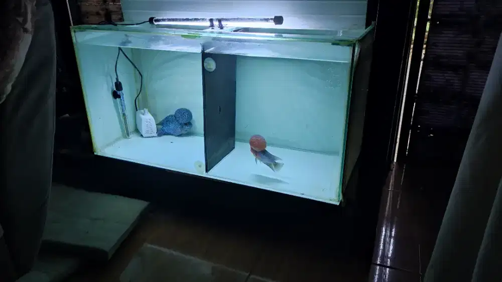 Aquarium 80x40x42 fulset