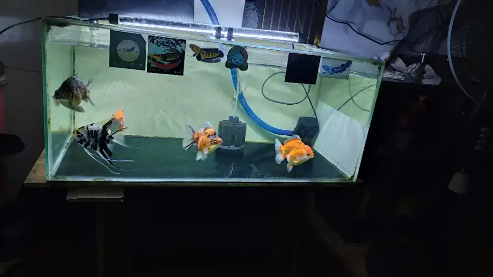 Aquarium 70x40x30 fulset