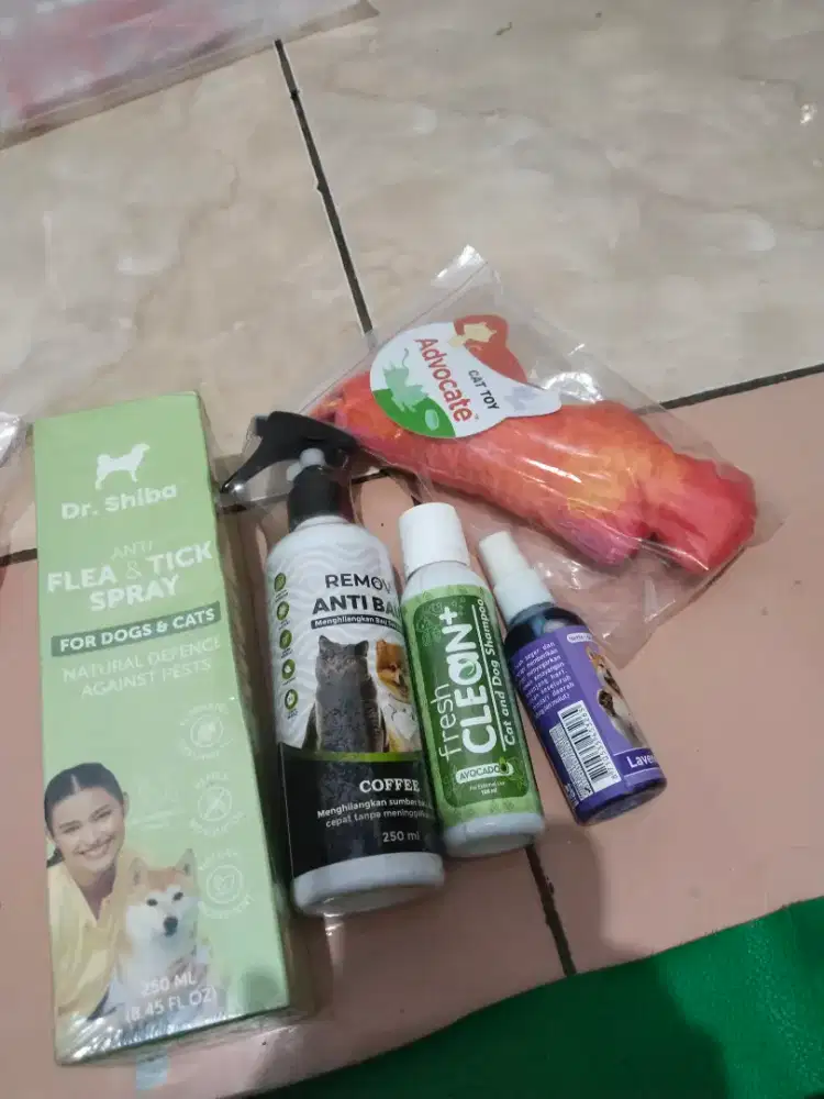 Dr shiba seprey kutu & jamur