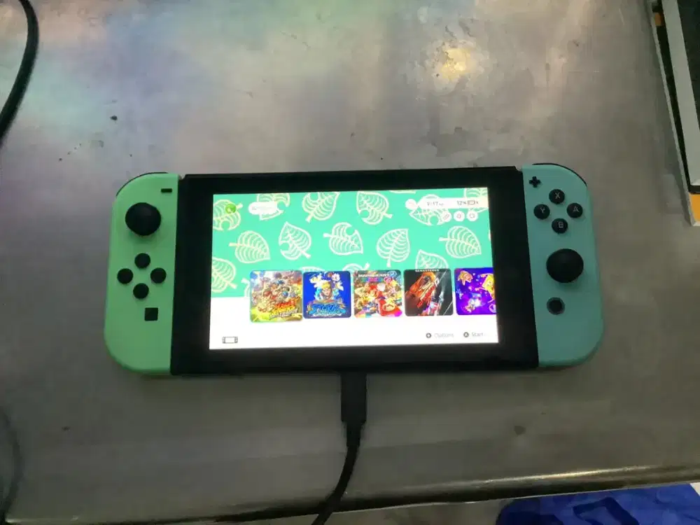 Nintendo switch dual boot os (ACNH edition)