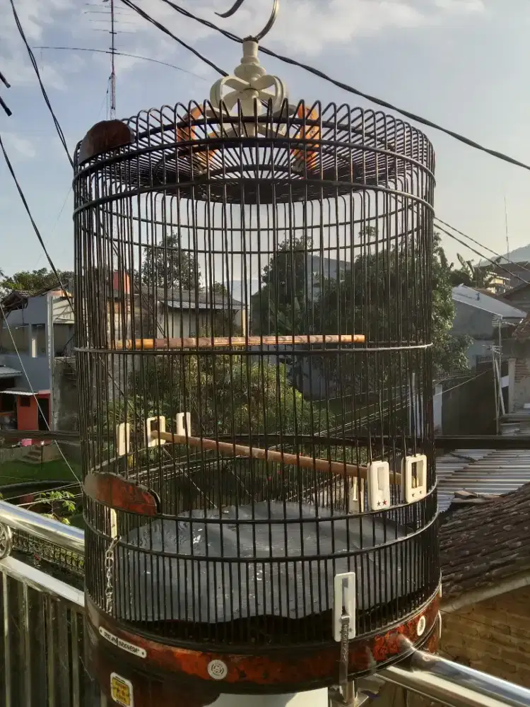 Sangkar MB Orik Jaya