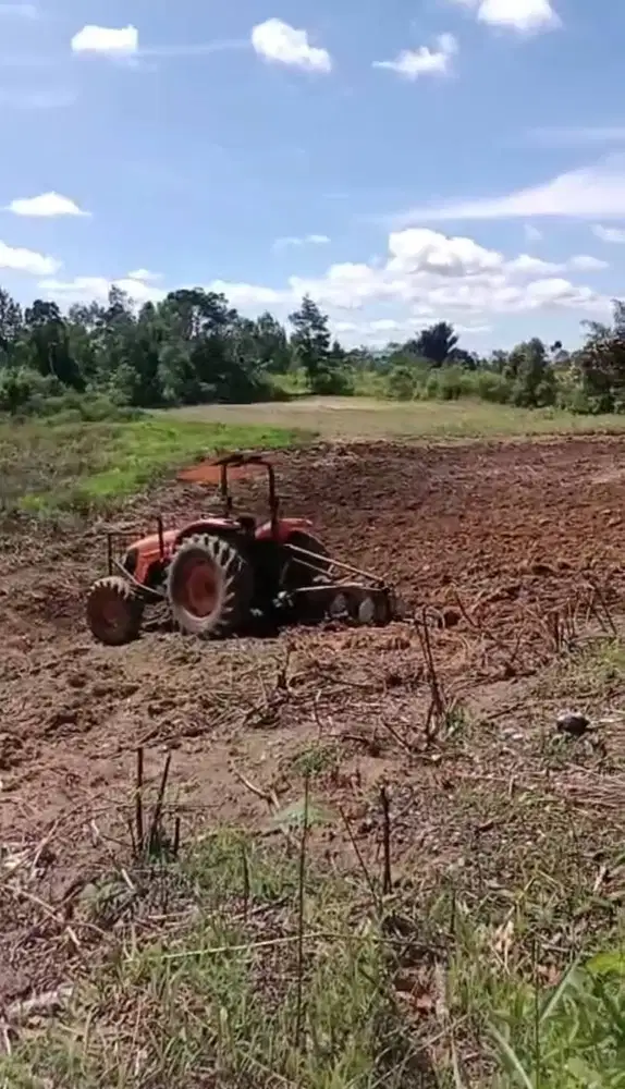 Dijual Tanah luas di siborongborong (Ternak, Kebun, Perumahan, Usaha)