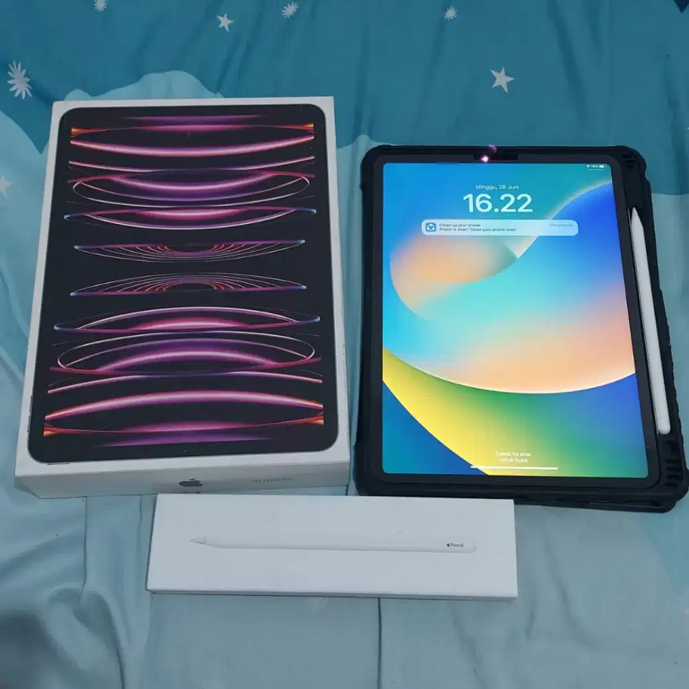 Ipad pro m2 11 inch, 256Gb wifi only