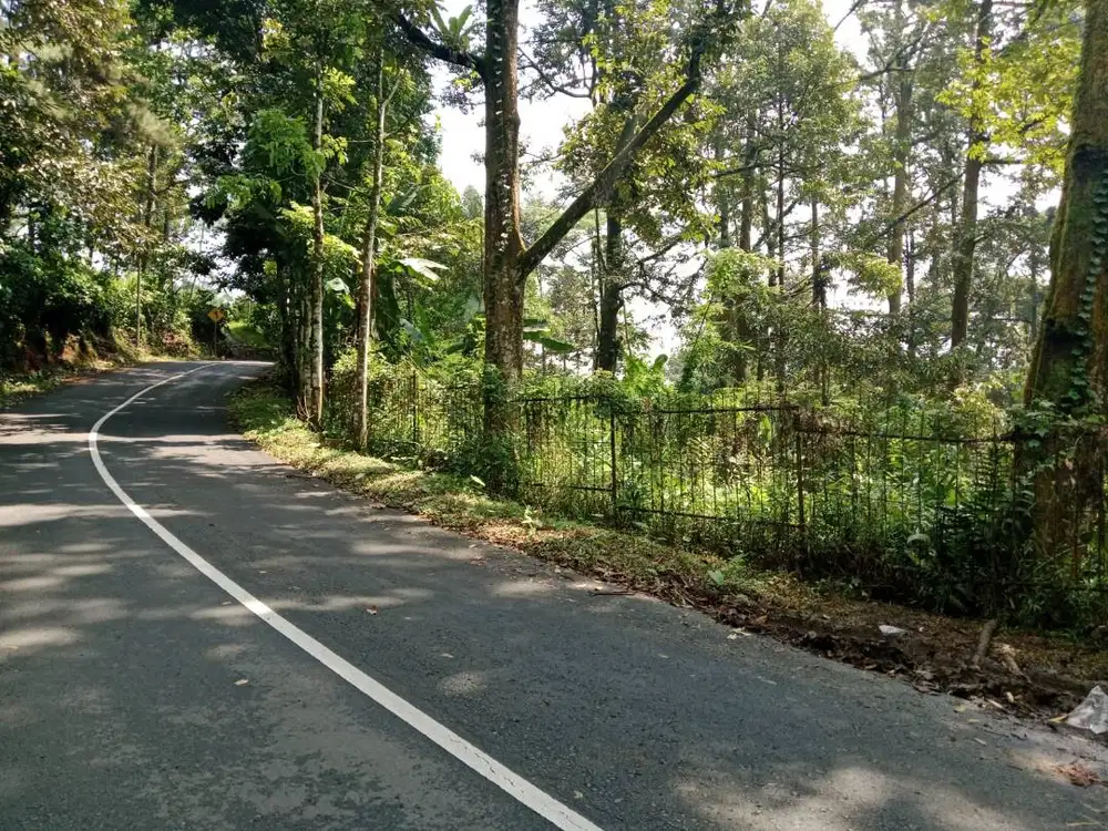 Dijual kebun durian produktif pinggir jalan shm