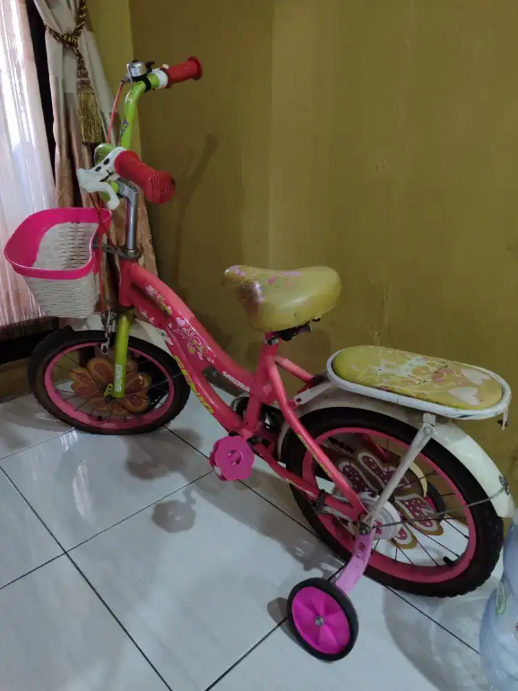 Sepeda anak anak