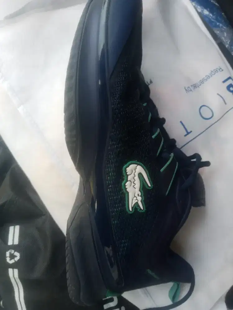Lacoste tenis Barang gurih good condition