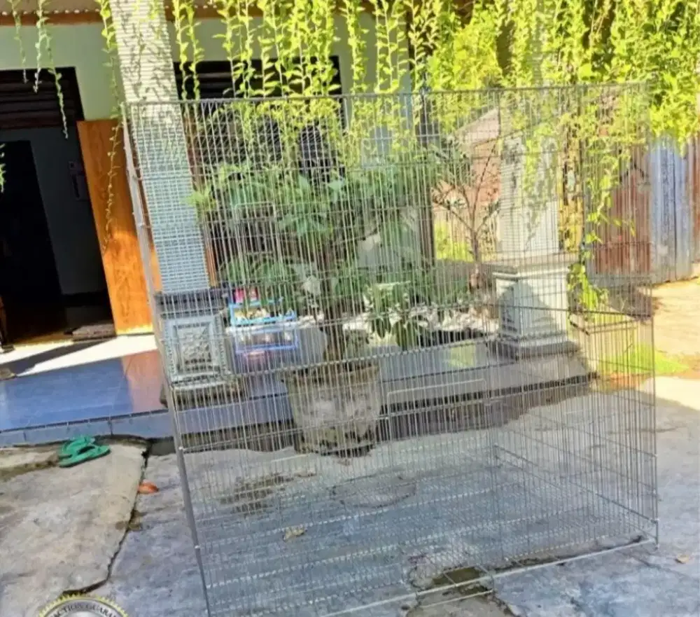Pre Order Kandang  ternak/koloni Galvanis Mini Aviary untuk burung