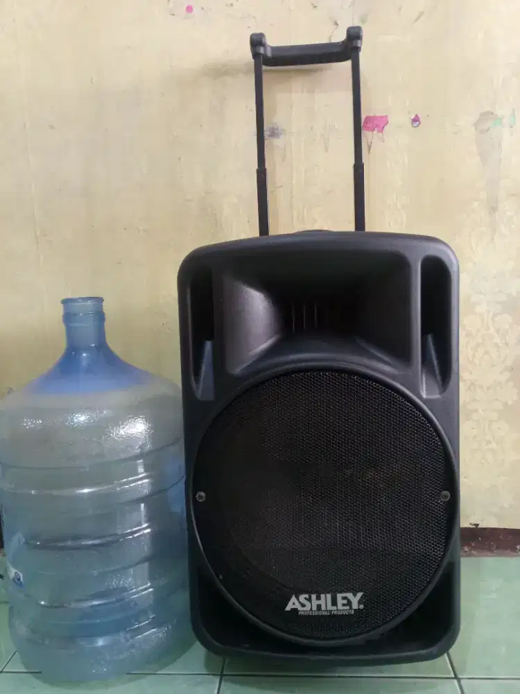 SPEAKER AKTIF 12ASHLEY