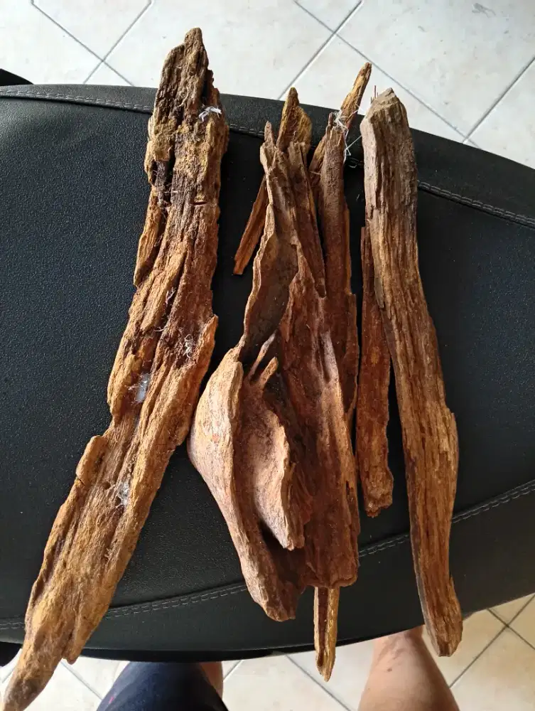Dijual kayu gaharu ada stok sekitar 2 truk di surabaya