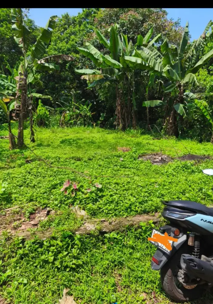 Di jual tanah perigi bedahan sawangan