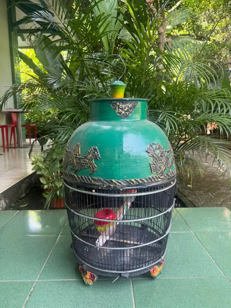 Kandang burung perkutut