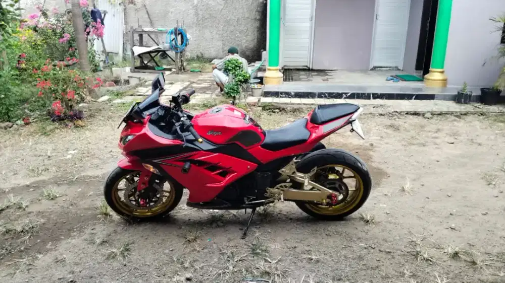 KAWASAKI NINJA FI 250 CC TAHUN 2017