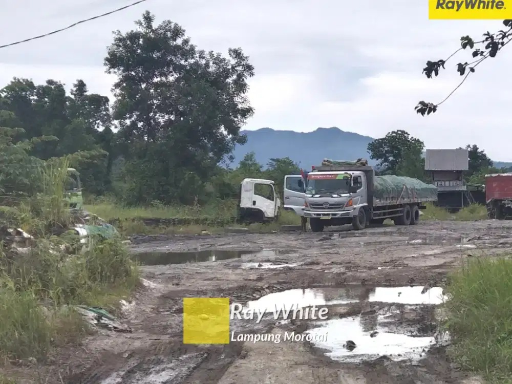 Dijual Tanah Di JL. Soekarno Hatta, Kedamaian, Bandar Lampung (kode : HRO 3599)