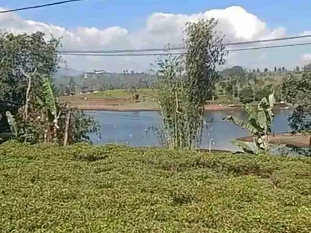Tanah view situ Cileunca pangalengan