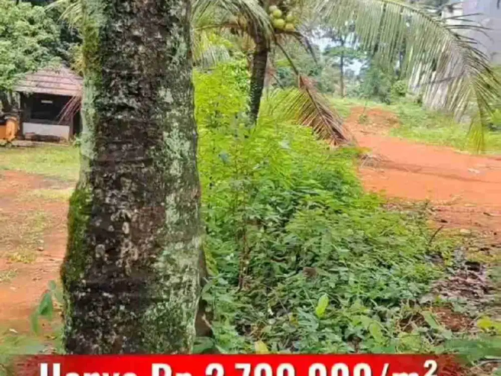 tanah murah siap bangun, cocok buay cluster