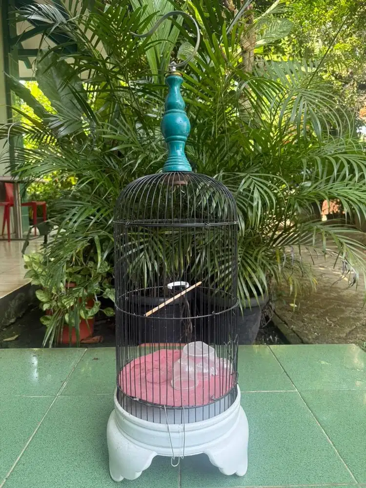 Kandang burung pleci