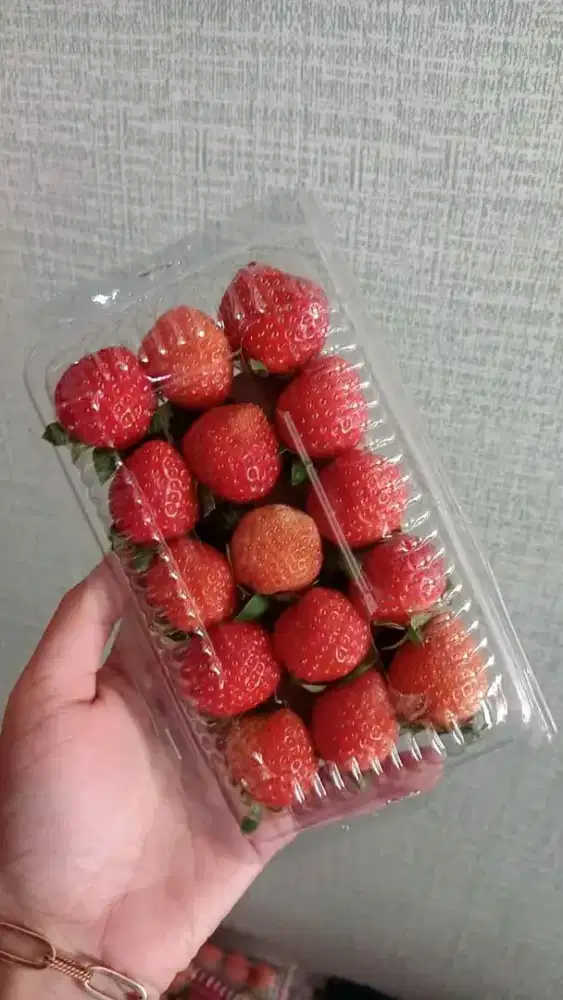 FRESH STRAWBERRY