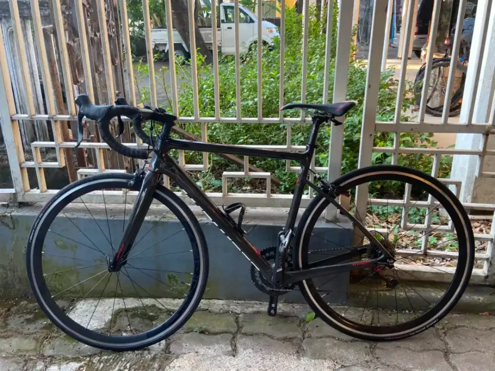 Roadbike Element Nerone