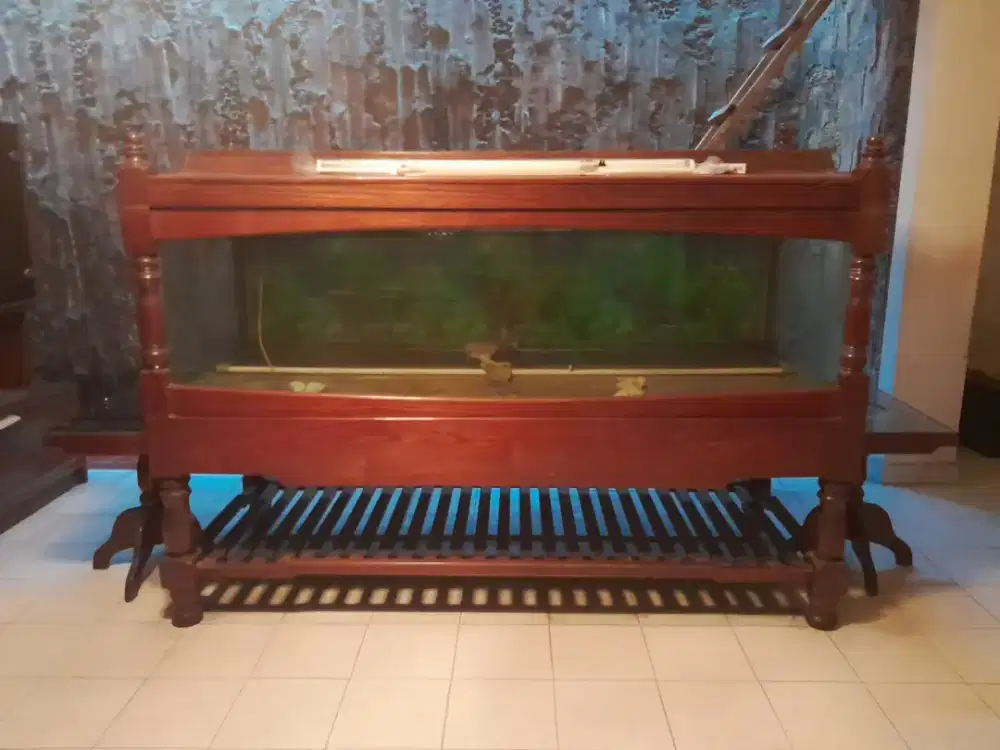 Aquarium Kayu Ambacang