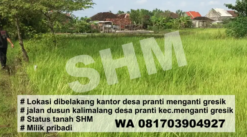 jual tanah milik pribadi status shm.belakang kel./kantor desa pranti