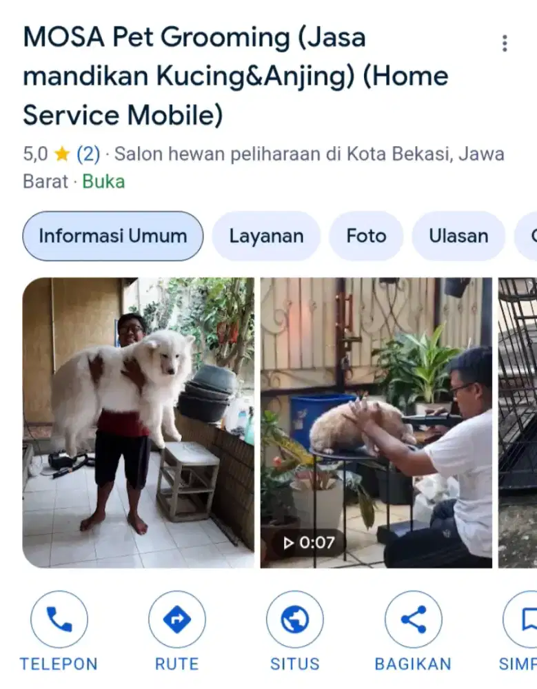 Salon kucing dan anjing