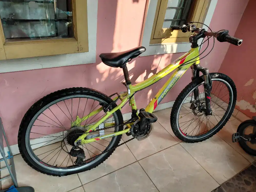 POLYGON Relic junior bintaro