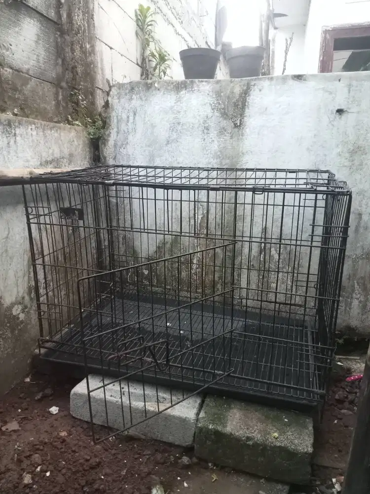 Sangkar/kandang kotak besar