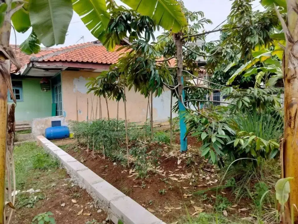 Dijual Tanah Siap Bangun Harga Murah Lokasi Strategis 5 Menit Dari Jl Raya Bogor Depok