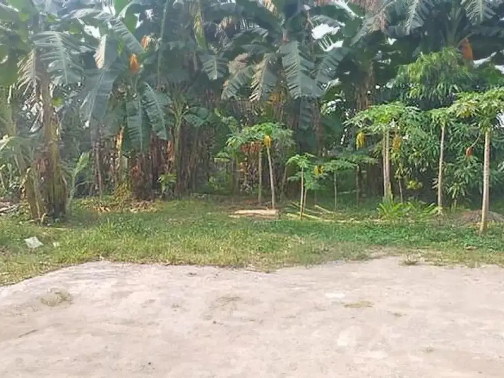 Tanah komersial Jl kedondong, Margonda Depok