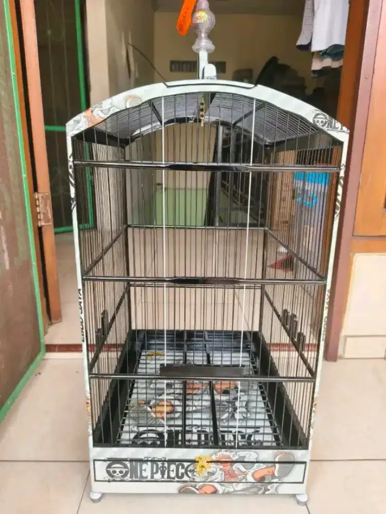 kandang kotak ebod jaya no 2