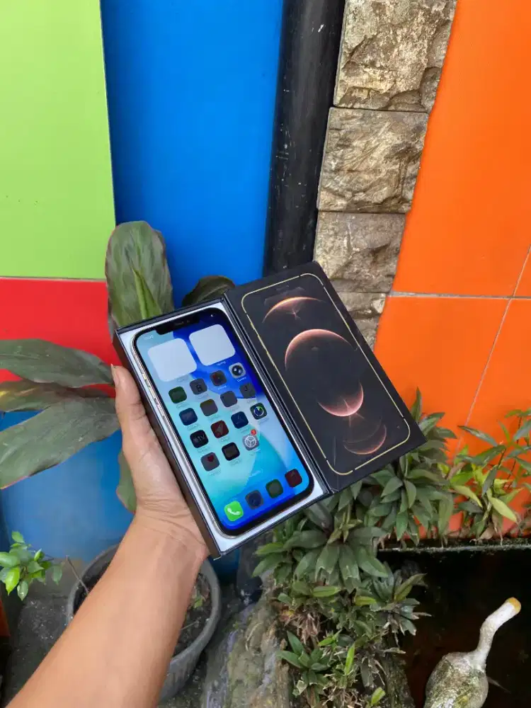 IPHONE 12 PRO MAX 128 INTER